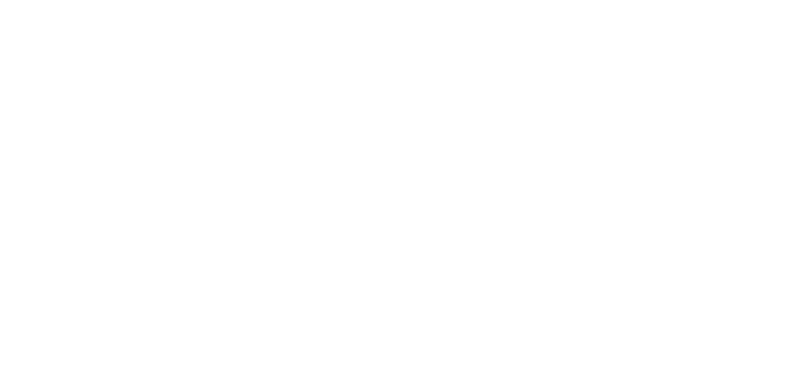 almaviva.logo