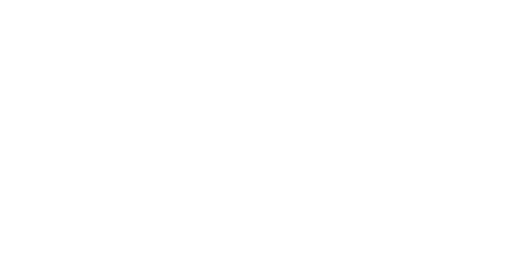 ciser.logo