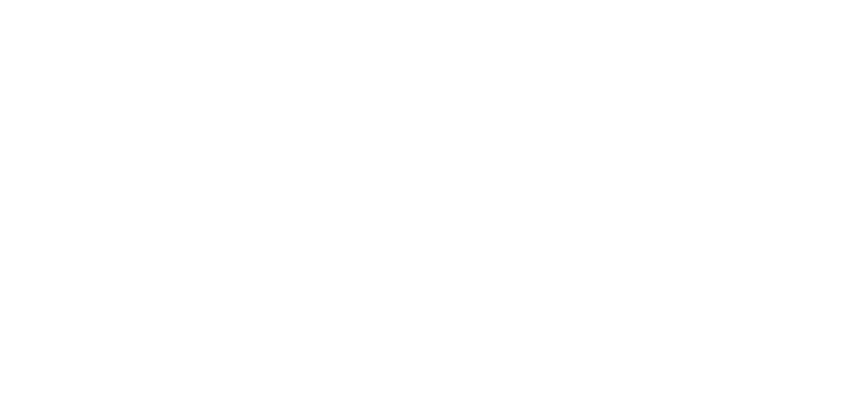 energisa.logo