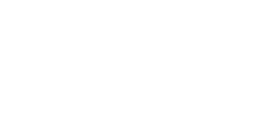 havan.logo