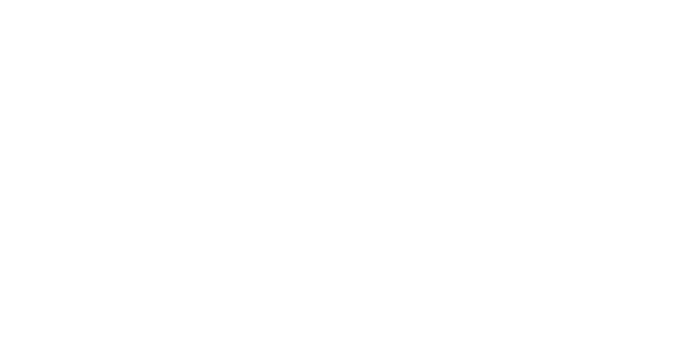 morlan.logo