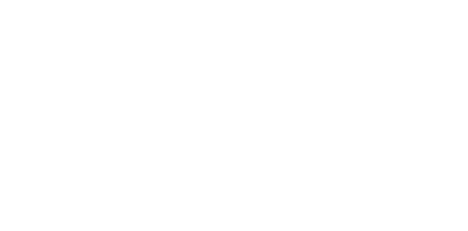 ricoh.logo