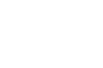 alelo.logo