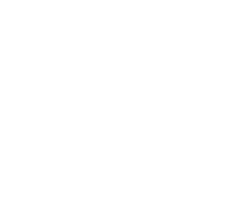 spdm.logo