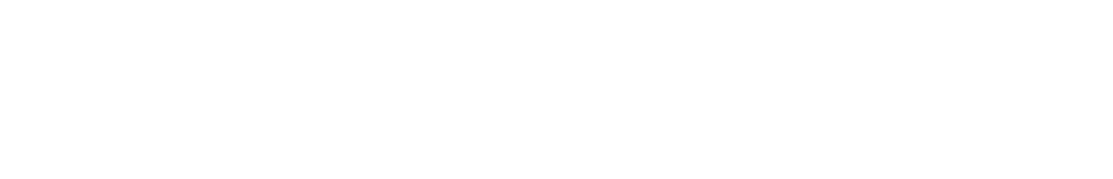 SELBETTI IT DEVICES SEGURANÇA PATRIMONIAL - BONSUCEX