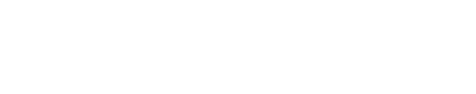 SELBETTI IT DEVICES SEGURANÇA PATRIMONIAL - CRESOL