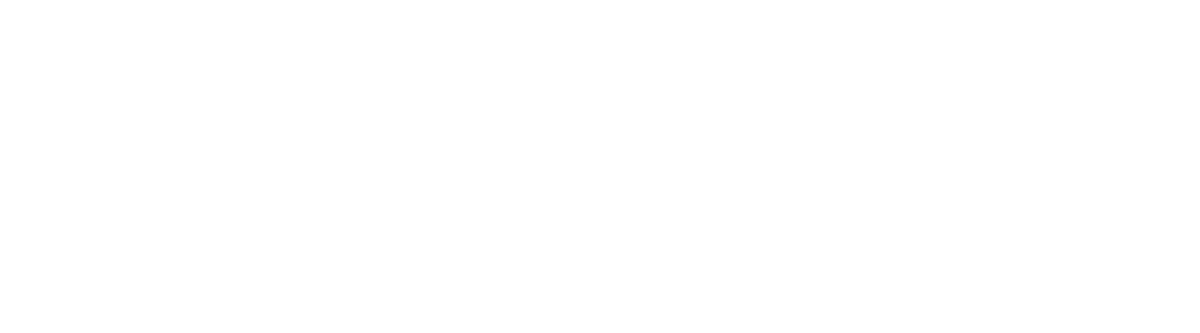 SELBETTI IT DEVICES SEGURANÇA PATRIMONIAL - LOGO AMBEV