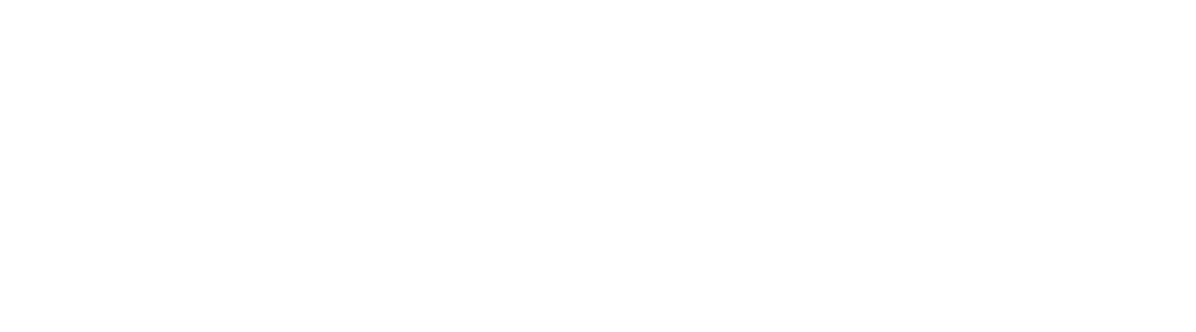 SELBETTI IT DEVICES SEGURANÇA PATRIMONIAL - PIONEIRO BATERIAS