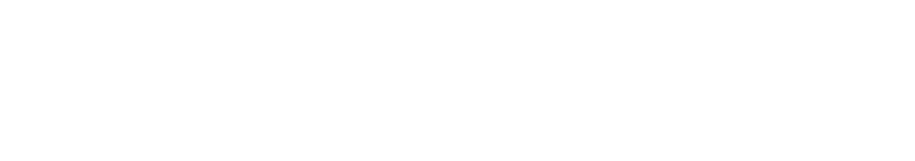 SELBETTI IT DEVICES SEGURANÇA PATRIMONIAL - VITALE