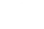 alelo.logo